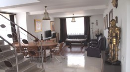 House for sale 7 rooms Magurele area 347 sqm