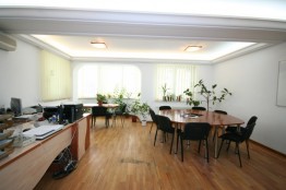 House for sale 7 rooms Victoriei Square-Titulescu area, Bucharest 267 sqm