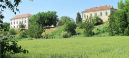 Mansion for sale Herasti