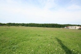 Land for sale Mogosoaia, Ilfov 10.000 sqm