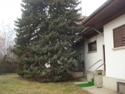 Land for sale Baneasa area, Bucharest 5331 sqm