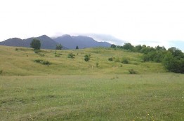 Land for sale Rasnov area 4000 sqm