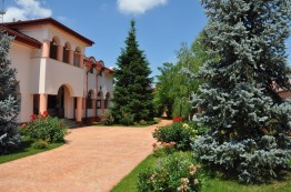 Villa for sale 8 rooms Cornetu, Ilfov 910 sqm