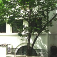 Villa for rent Bucharest Romana Square area 700 sqm