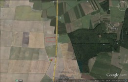 Land for Sale,Tunari, Ilfov, 25000 sqm