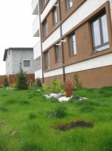 Fundeni-Spicului, 2 room apartment