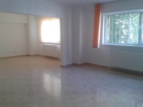 Apartment for rent 3 rooms Calea Calarasilor area, Bucharest 130 sqm