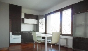 Apartment for rent 4 rooms Kiseleff area, Bucharest 195 sqm