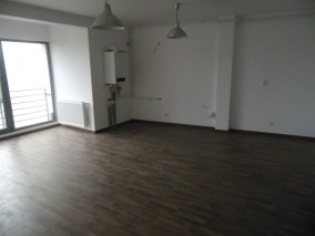 Apartment for sale 2 rooms Grozavesti-Splaiul Independentei area, Bucharest 65 sqm