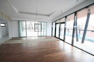 Penthouse apartment for sale 3 rooms Domenii-Casin area, Bucharest 301 sqm