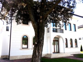 Villa for rent 5 rooms Iancu Nicolae area, Bucharest