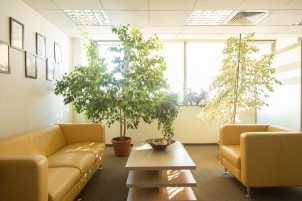 Office spaces for rent Barbu Vacarescu area, Bucharest